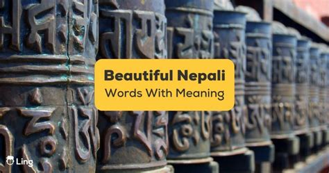 worth meaning in nepali|Worth meaning in Nepali .